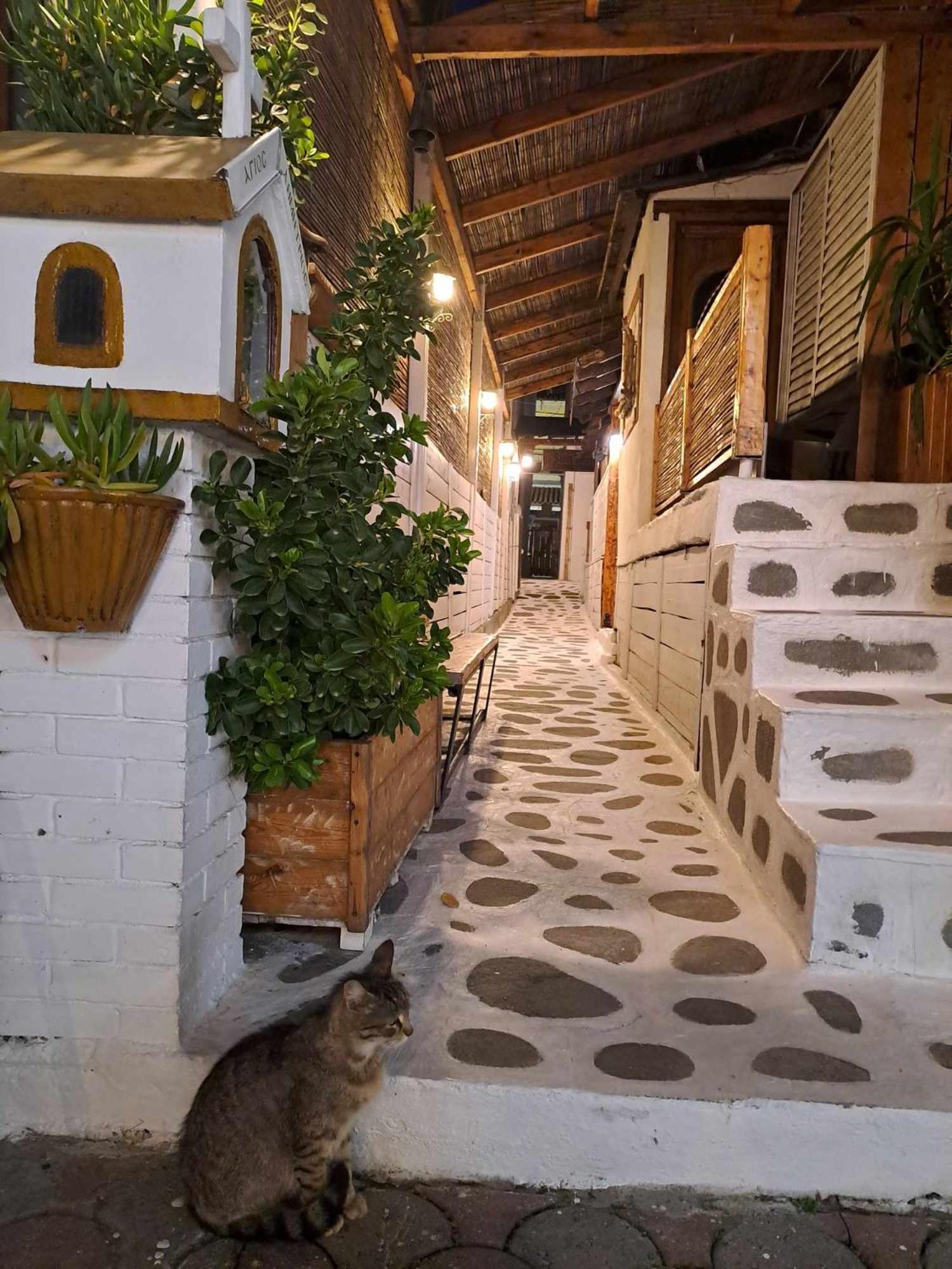 Mariza Apartments -Studios Chaniotis Extérieur photo